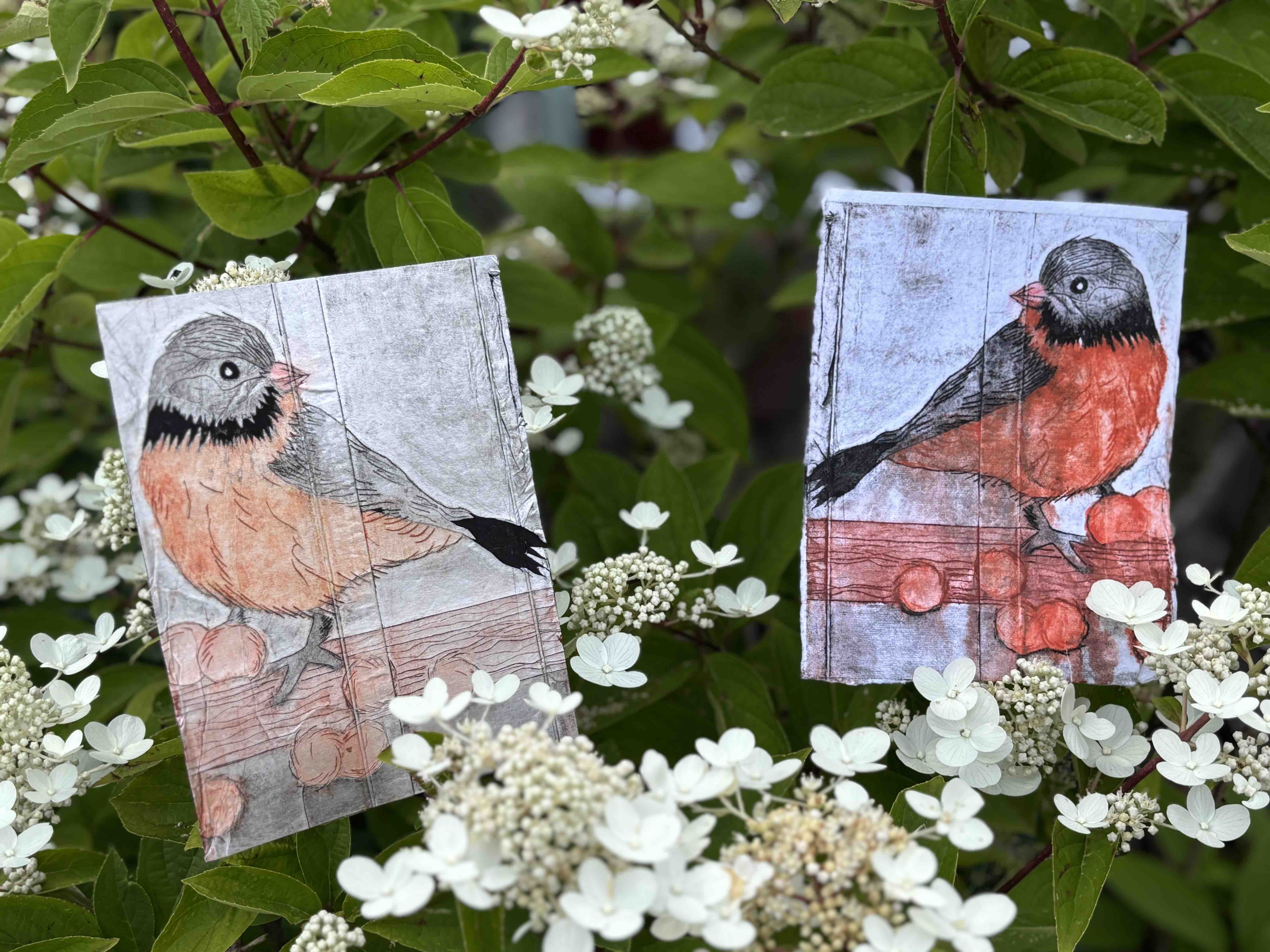 Milchtü und Druck - Vogel