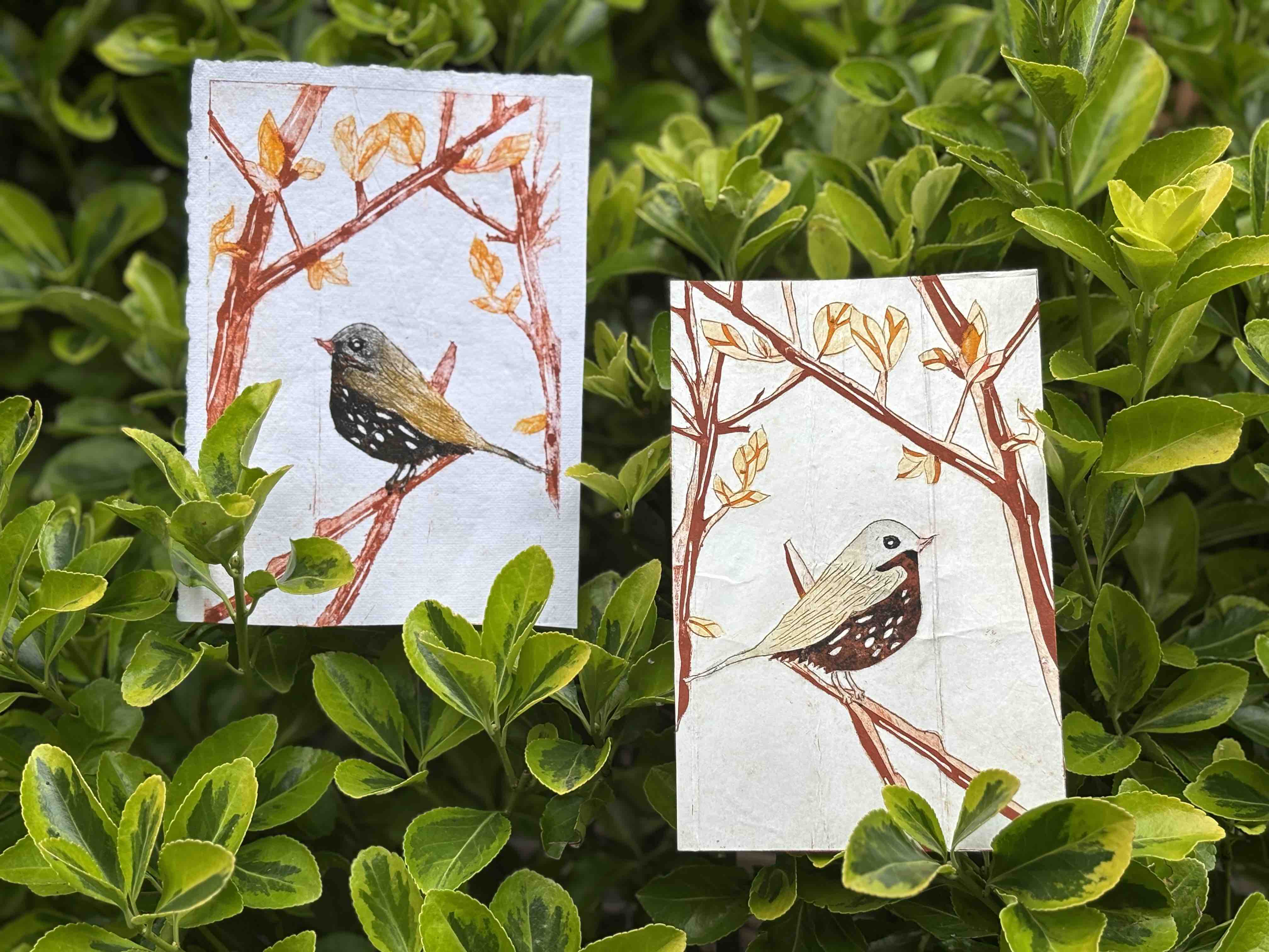 Milchtü und Druck - Vogel